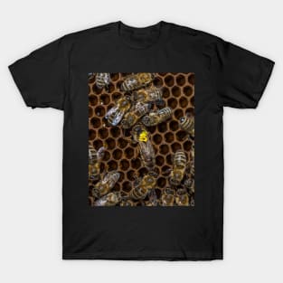 Queen bee T-Shirt